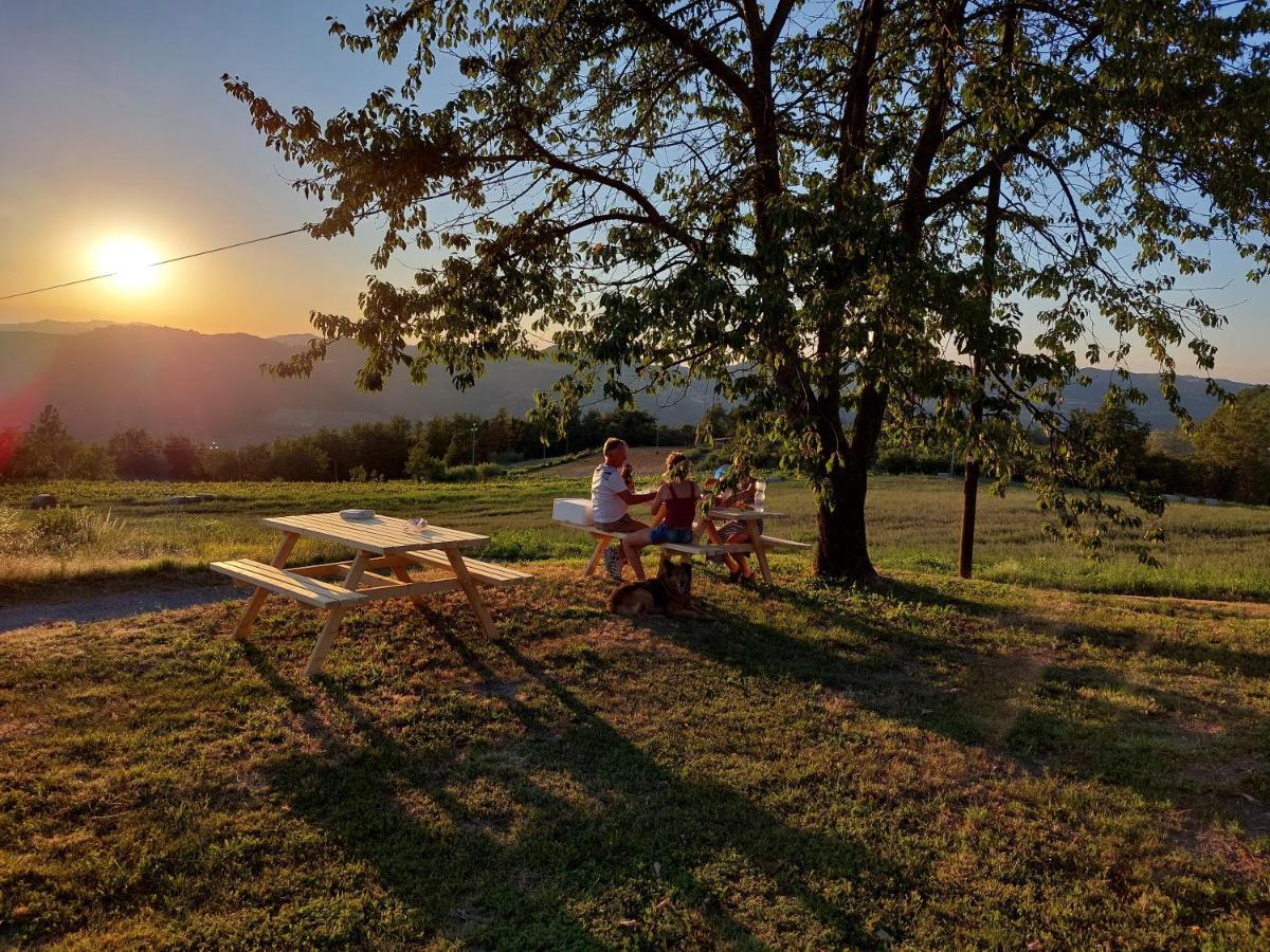 Agriturismo La Margherita San Giorgio Scarampi Exterior photo